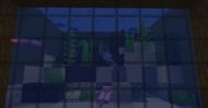 A tinted glass window for an axolotl aquarium (Image via Mojang)